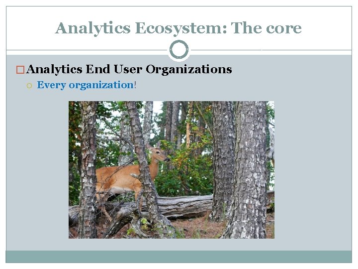 Analytics Ecosystem: The core � Analytics End User Organizations Every organization! 