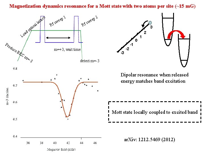 Magnetization dynamics resonance for a Mott state with two atoms per site (~15 m.