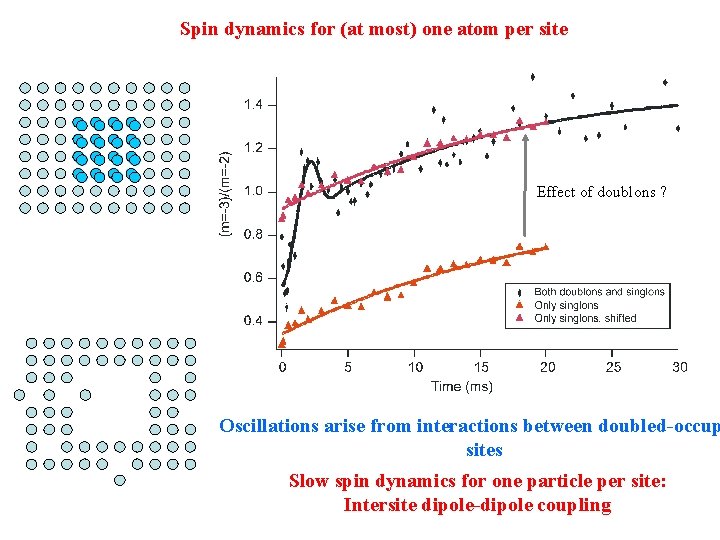 Spin dynamics for (at most) one atom per site Effect of doublons ? Oscillations