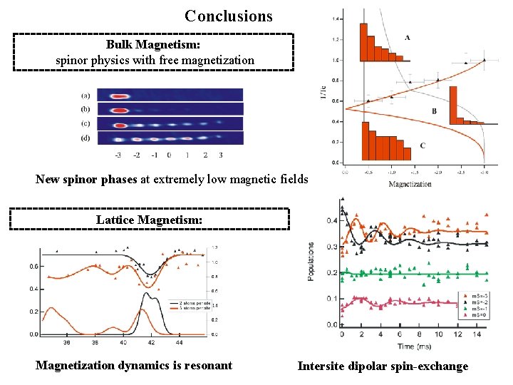 Conclusions Bulk Magnetism: spinor physics with free magnetization New spinor phases at extremely low