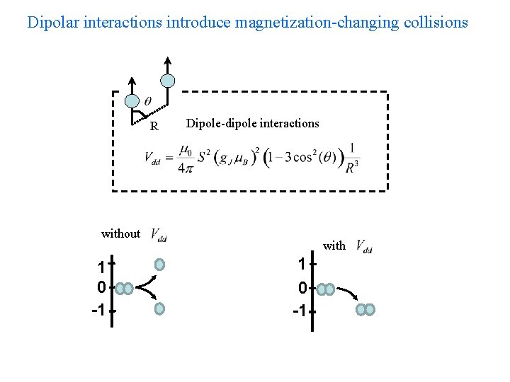 Dipolar interactions introduce magnetization-changing collisions R Dipole-dipole interactions without 1 0 -1 with 1