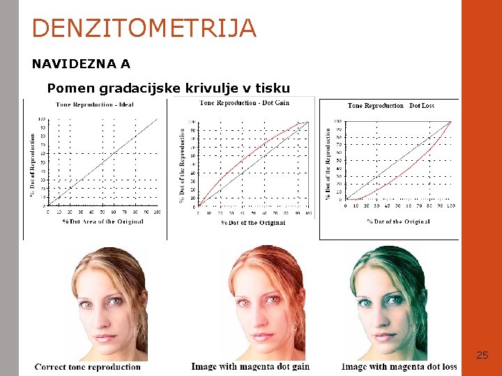 DENZITOMETRIJA NAVIDEZNA A Pomen gradacijske krivulje v tisku 25 