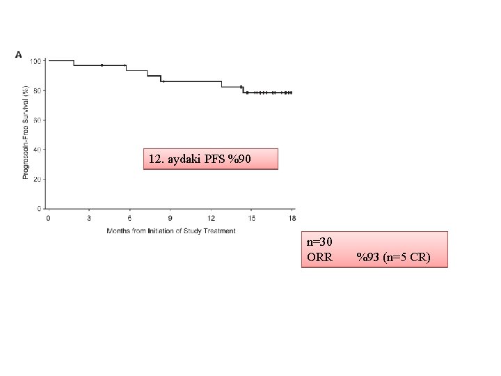 12. aydaki PFS %90 n=30 ORR %93 (n=5 CR) 