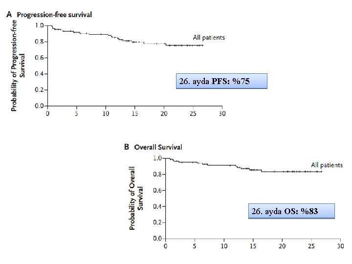 26. ayda PFS: %75 26. ayda OS: %83 