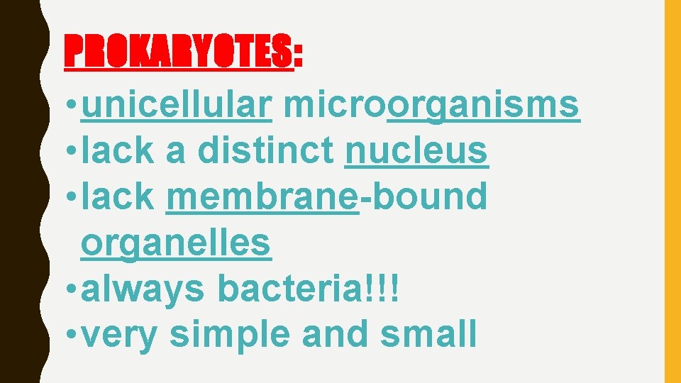 PROKARYOTES: • unicellular microorganisms • lack a distinct nucleus • lack membrane-bound organelles •