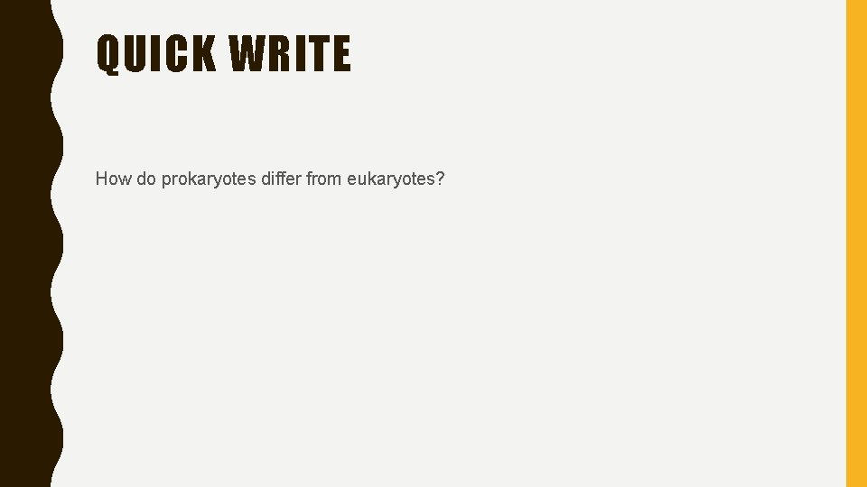 QUICK WRITE How do prokaryotes differ from eukaryotes? 