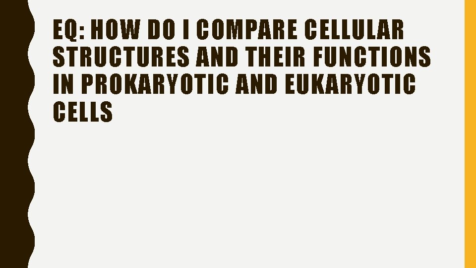 EQ: HOW DO I COMPARE CELLULAR STRUCTURES AND THEIR FUNCTIONS IN PROKARYOTIC AND EUKARYOTIC