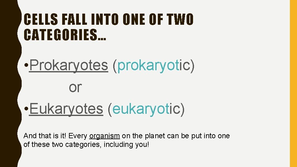 CELLS FALL INTO ONE OF TWO CATEGORIES… • Prokaryotes (prokaryotic) or • Eukaryotes (eukaryotic)