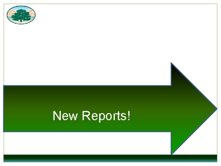 New Reports! 