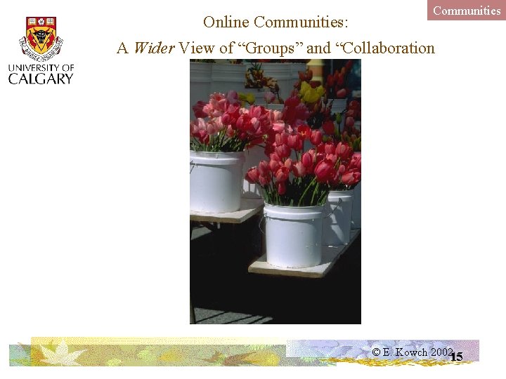 Online Communities: Communities A Wider View of “Groups” and “Collaboration © E. Kowch 200215