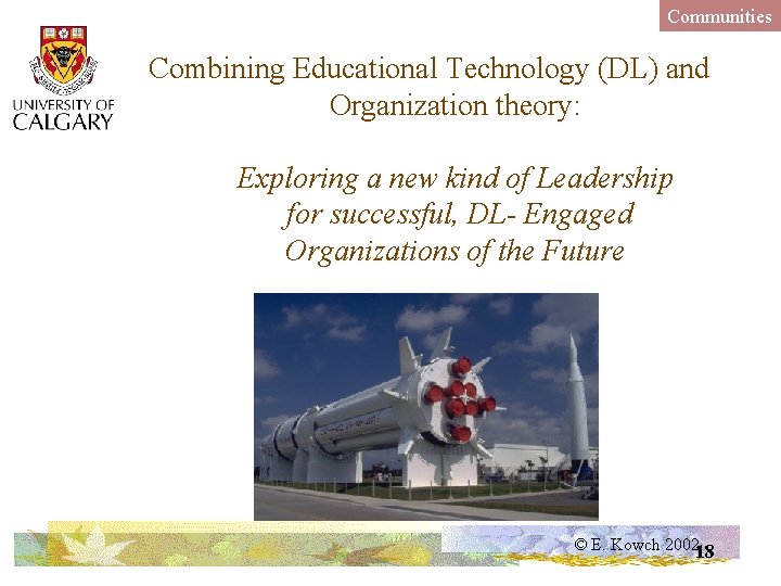Communities Combining Educational Technology (DL) and Organization theory: Exploring a new kind of Leadership