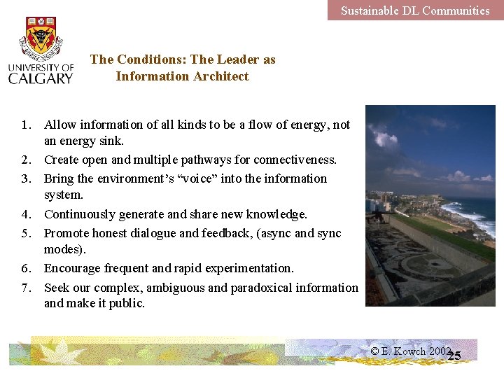 Sustainable DL Communities The Conditions: The Leader as Information Architect 1. Allow information of