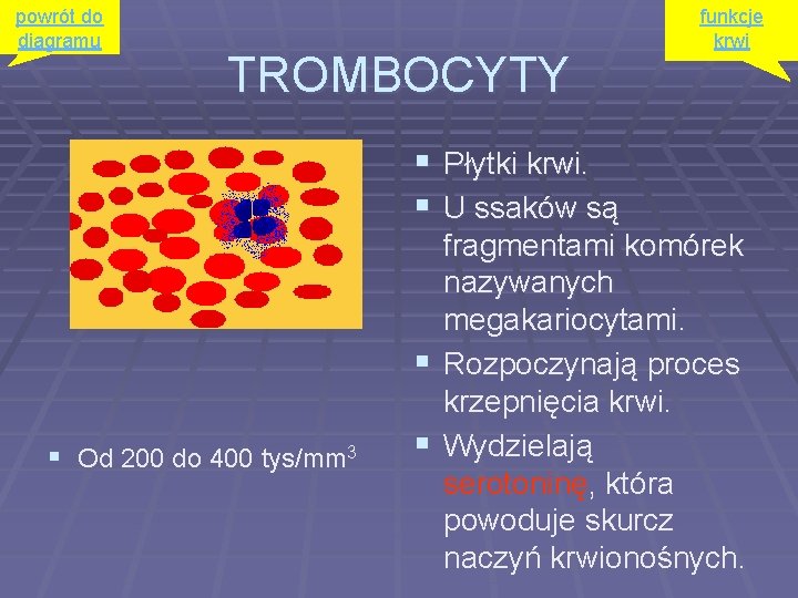 powrót do diagramu TROMBOCYTY funkcje krwi § Płytki krwi. § U ssaków są §