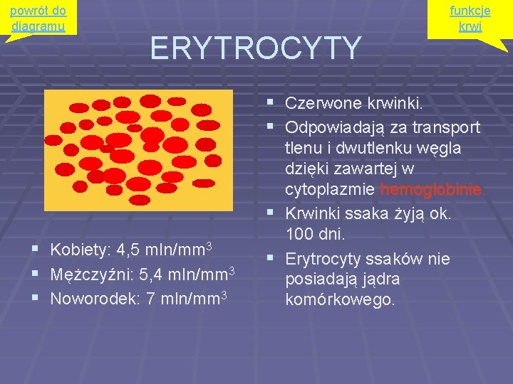 powrót do diagramu ERYTROCYTY funkcje krwi § Czerwone krwinki. § Odpowiadają za transport §