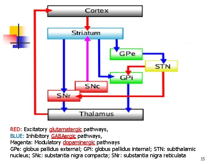 RED: Excitatory glutamatergic pathways, BLUE: Inhibitory GABAergic pathways, Magenta: Modulatory dopaminergic pathways GPe: globus