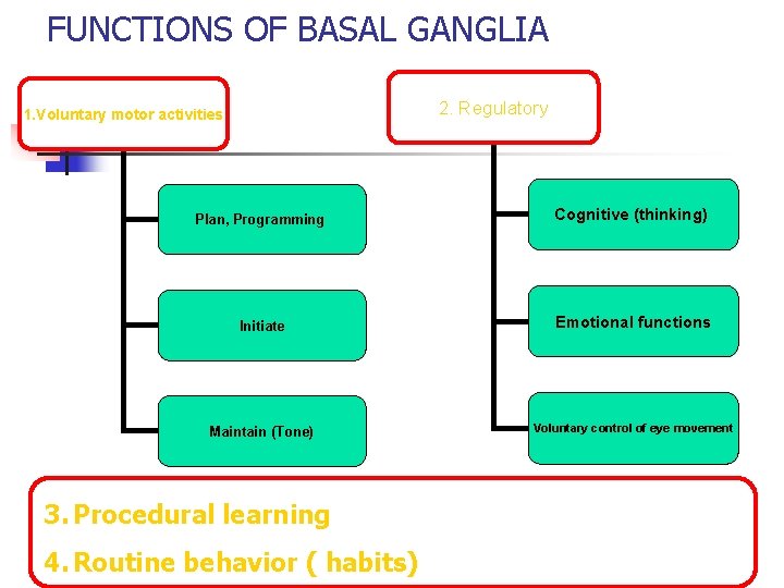 FUNCTIONS OF BASAL GANGLIA 2. Regulatory 1. Voluntary motor activities Plan, Programming Cognitive (thinking)