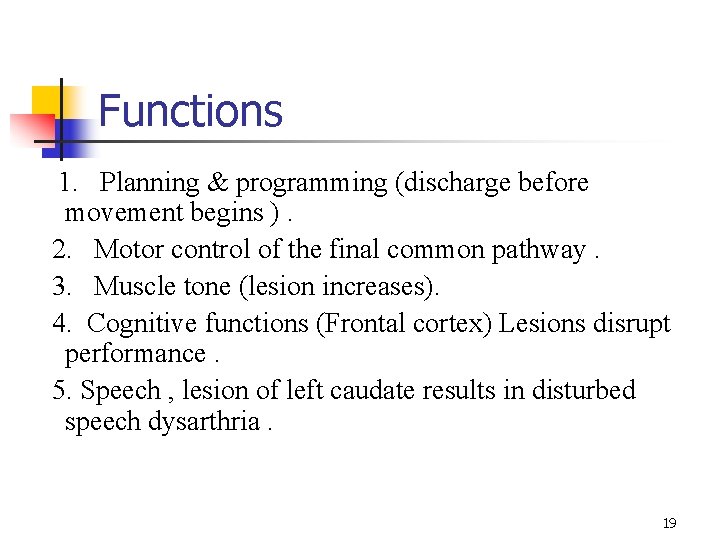 Functions 1. Planning & programming (discharge before movement begins ). 2. Motor control of