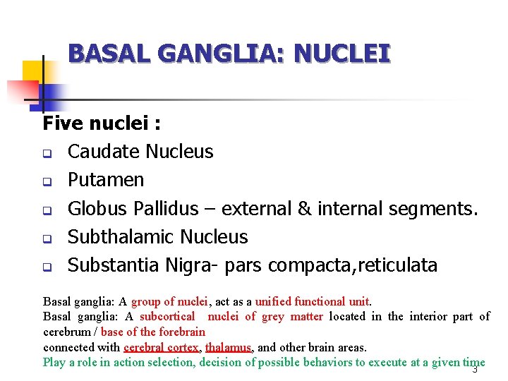 BASAL GANGLIA: NUCLEI Five nuclei : q Caudate Nucleus q Putamen q Globus Pallidus