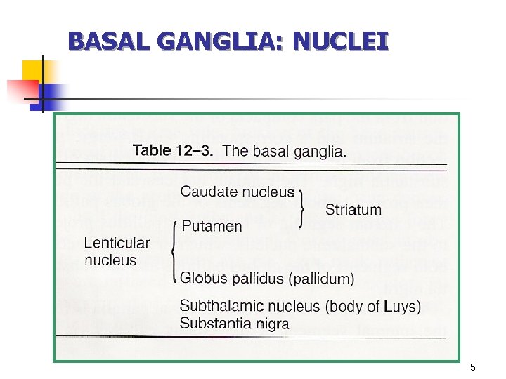 BASAL GANGLIA: NUCLEI 5 