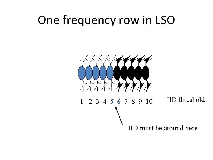 One frequency row in LSO 1 2 3 4 5 6 7 8 9