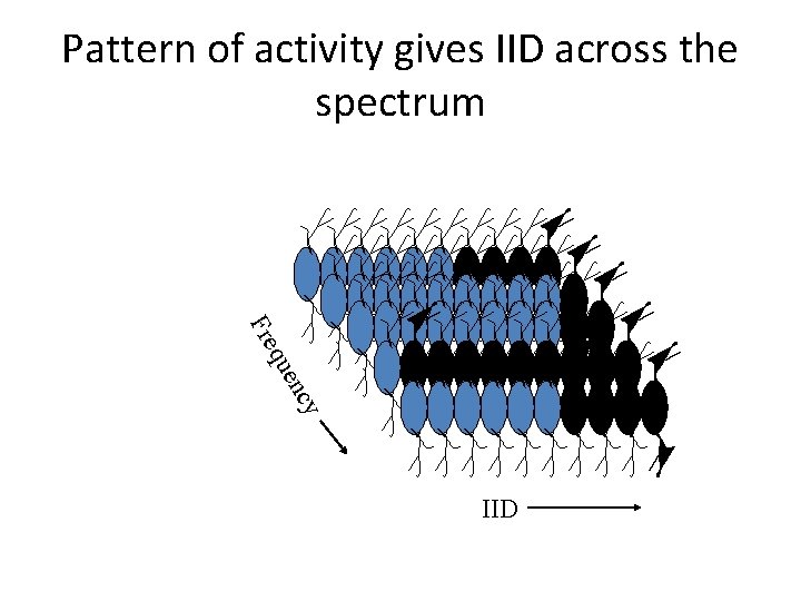 Pattern of activity gives IID across the spectrum Fre enc qu y IID 