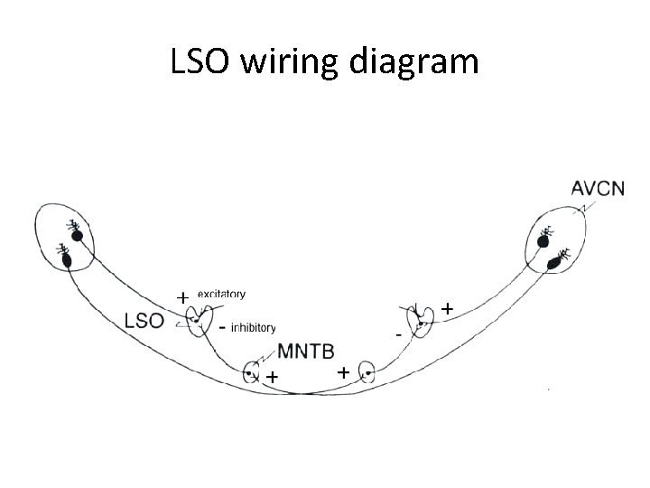 LSO wiring diagram 