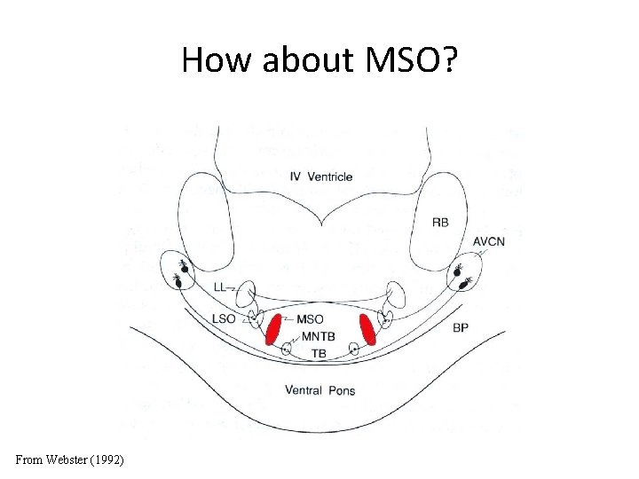 How about MSO? From Webster (1992) 