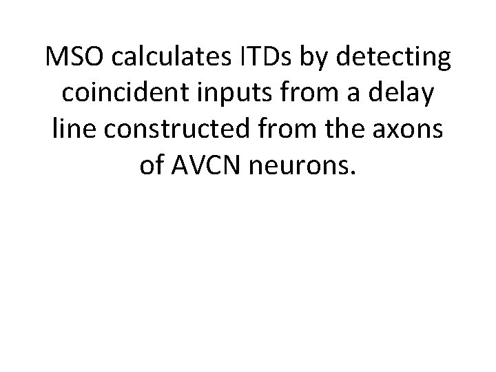 MSO calculates ITDs by detecting coincident inputs from a delay line constructed from the