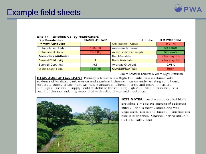 Example field sheets 