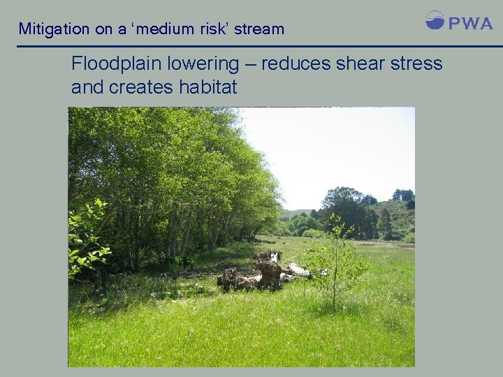 Mitigation on a ‘medium risk’ stream Floodplain lowering – reduces shear stress and creates