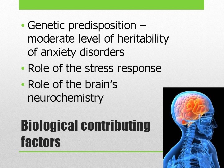  • Genetic predisposition – moderate level of heritability of anxiety disorders • Role