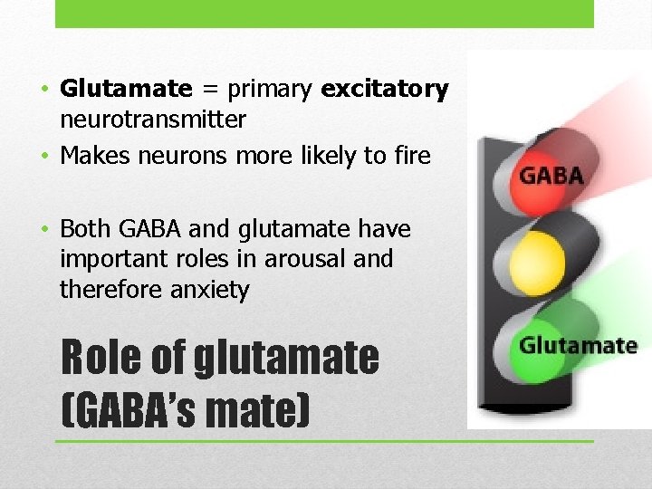  • Glutamate = primary excitatory neurotransmitter • Makes neurons more likely to fire