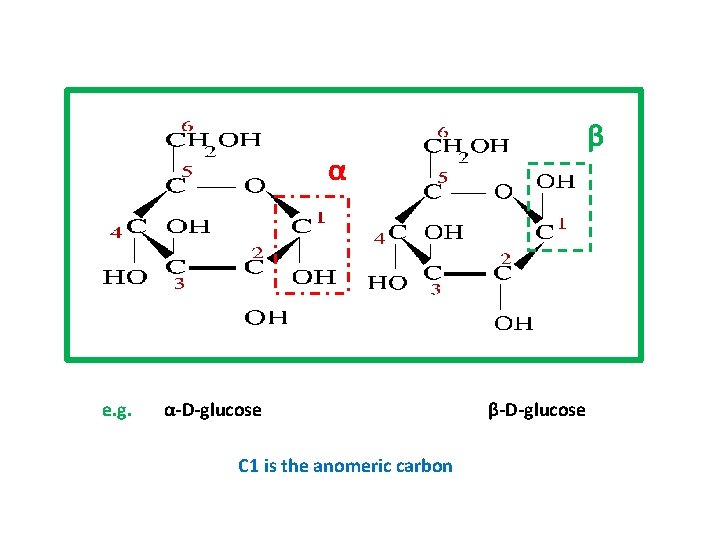 β α e. g. α-D-glucose C 1 is the anomeric carbon β-D-glucose 