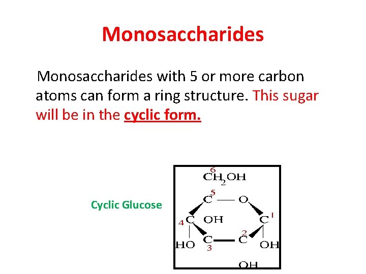 Monosaccharides with 5 or more carbon atoms can form a ring structure. This sugar