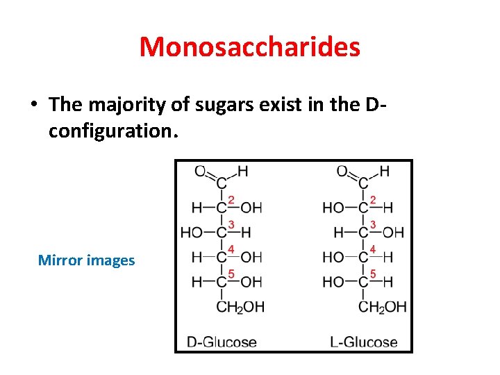 Monosaccharides • The majority of sugars exist in the Dconfiguration. Mirror images 