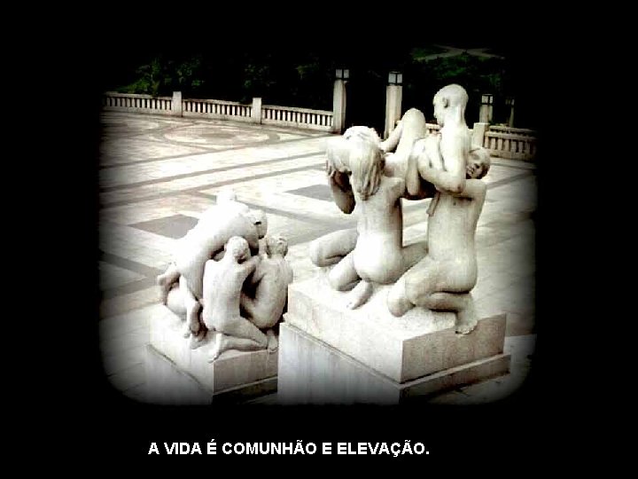 A VIDA É COMUNHÃO E ELEVAÇÃO. 