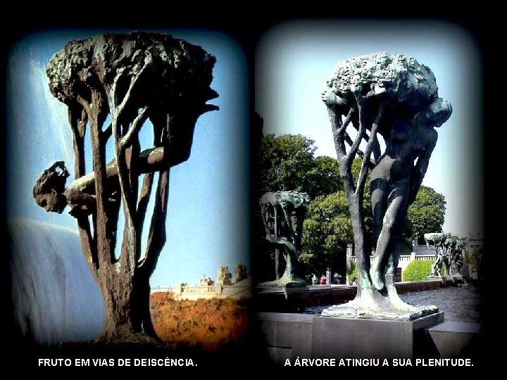 FONTES E ÁRVORES ASSOCIADAS PROTECÇÃO E ORIENTAÇÃO MATERNA FONTEÀ DAVIDAA SUA PLENITUDE. FRUTO EM