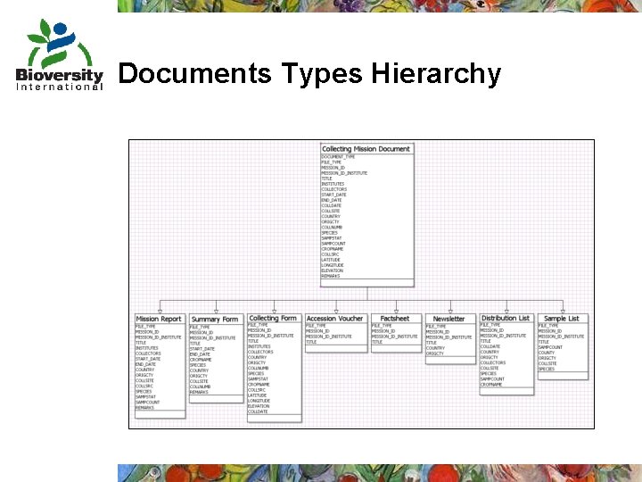 Documents Types Hierarchy 