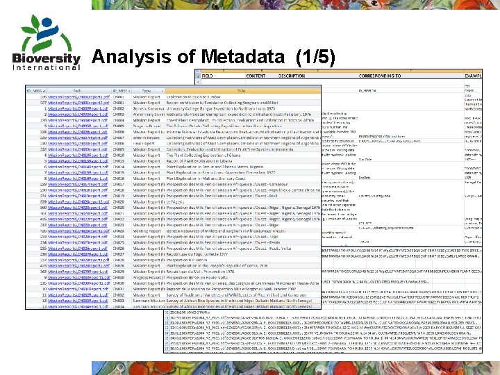 Analysis of Metadata (1/5) 