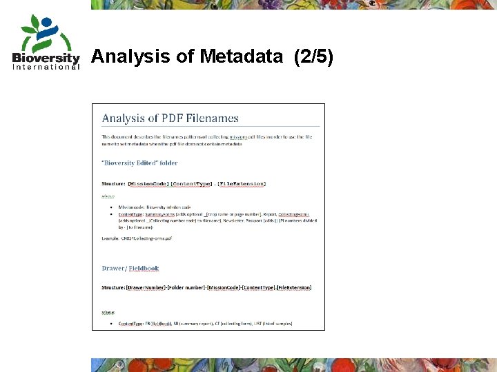 Analysis of Metadata (2/5) 