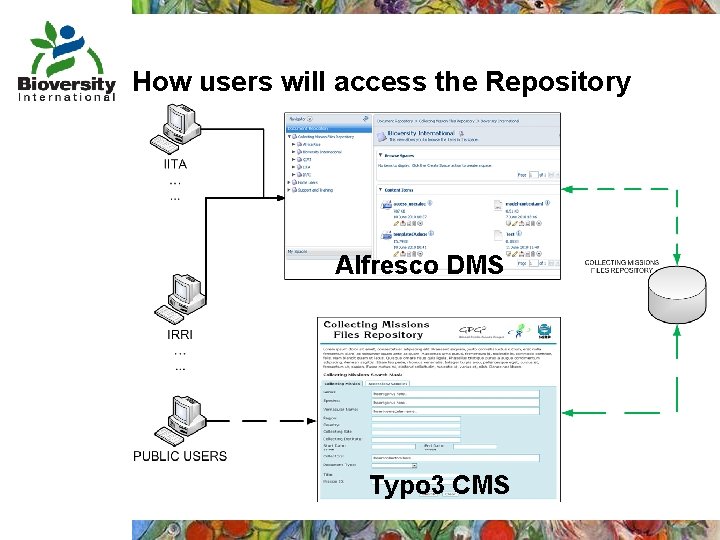 How users will access the Repository Alfresco DMS Typo 3 CMS 