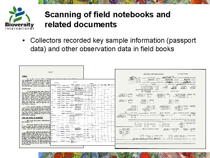 Scanning of field notebooks and related documents • Collectors recorded key sample information (passport
