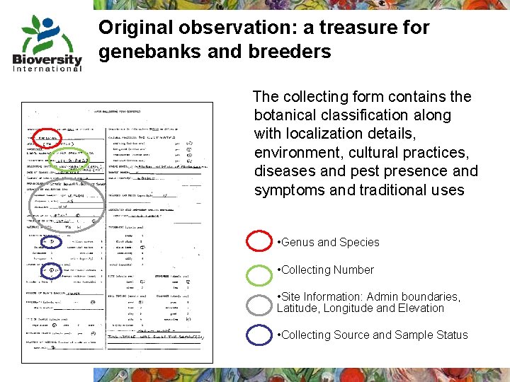 Original observation: a treasure for genebanks and breeders The collecting form contains the botanical