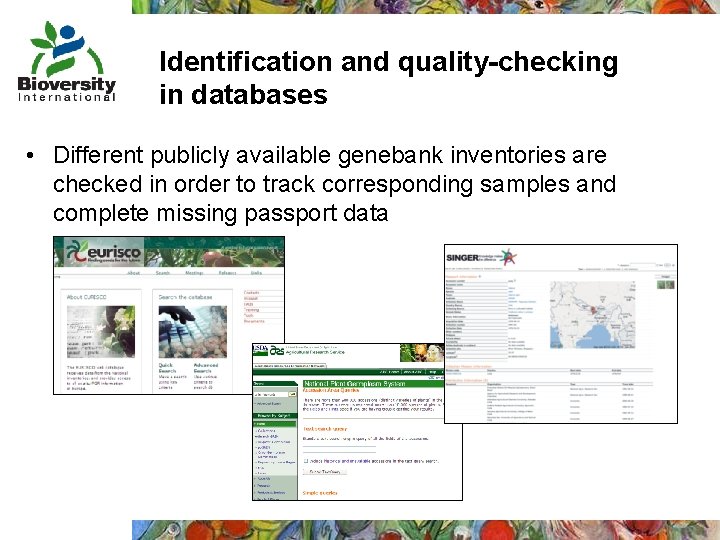 Identification and quality-checking in databases • Different publicly available genebank inventories are checked in