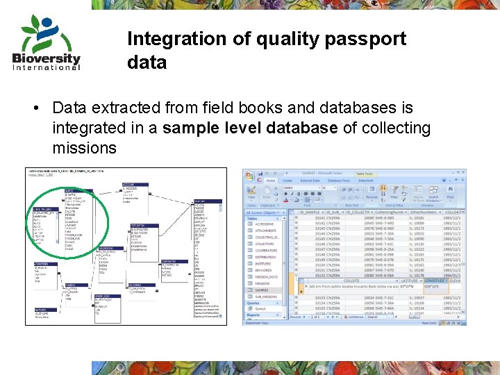 Integration of quality passport data • Data extracted from field books and databases is