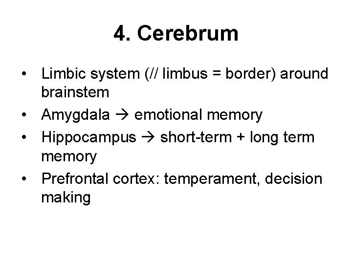 4. Cerebrum • Limbic system (// limbus = border) around brainstem • Amygdala emotional