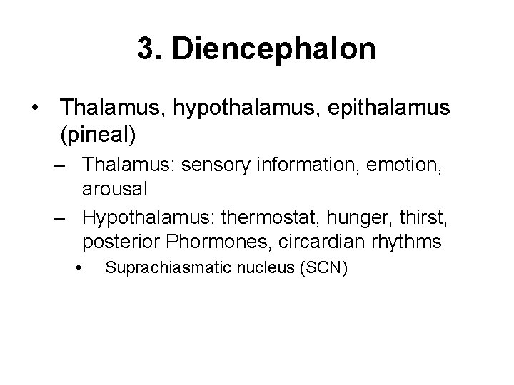 3. Diencephalon • Thalamus, hypothalamus, epithalamus (pineal) – Thalamus: sensory information, emotion, arousal –