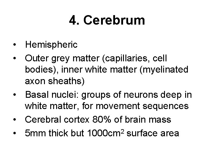 4. Cerebrum • Hemispheric • Outer grey matter (capillaries, cell bodies), inner white matter