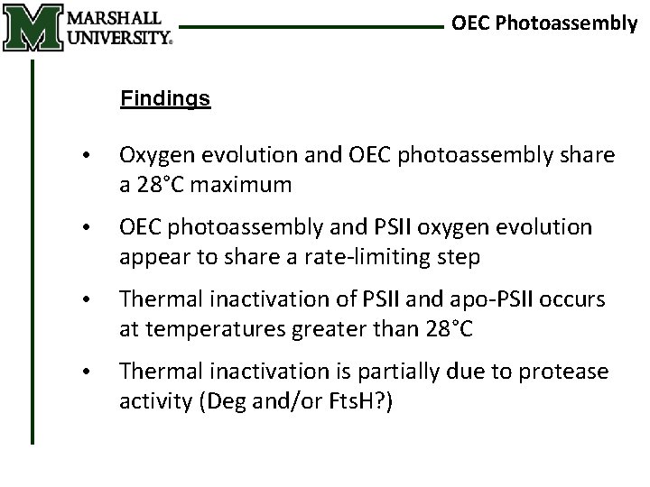 OEC Photoassembly Findings • Oxygen evolution and OEC photoassembly share a 28°C maximum •