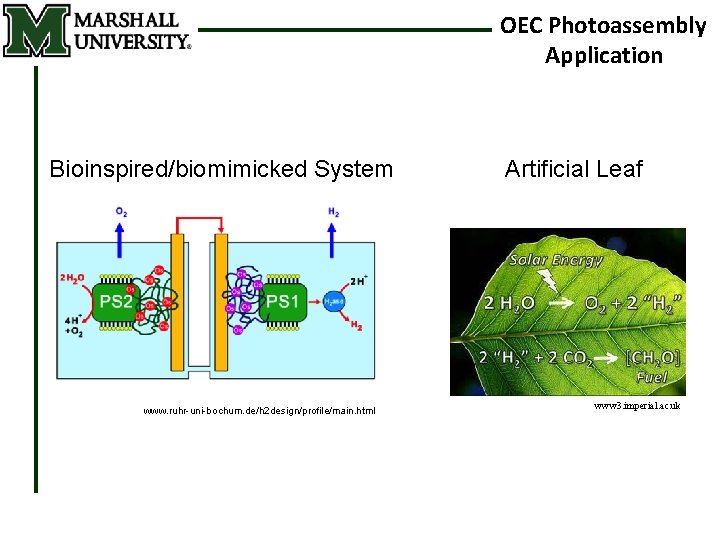 OEC Photoassembly Application Bioinspired/biomimicked System www. ruhr-uni-bochum. de/h 2 design/profile/main. html Artificial Leaf www